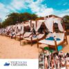 aviario, playa blanca, vehitours, pasadia en playa blanca baru